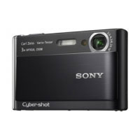 Sony DSC-T70 (DSC-T70B)